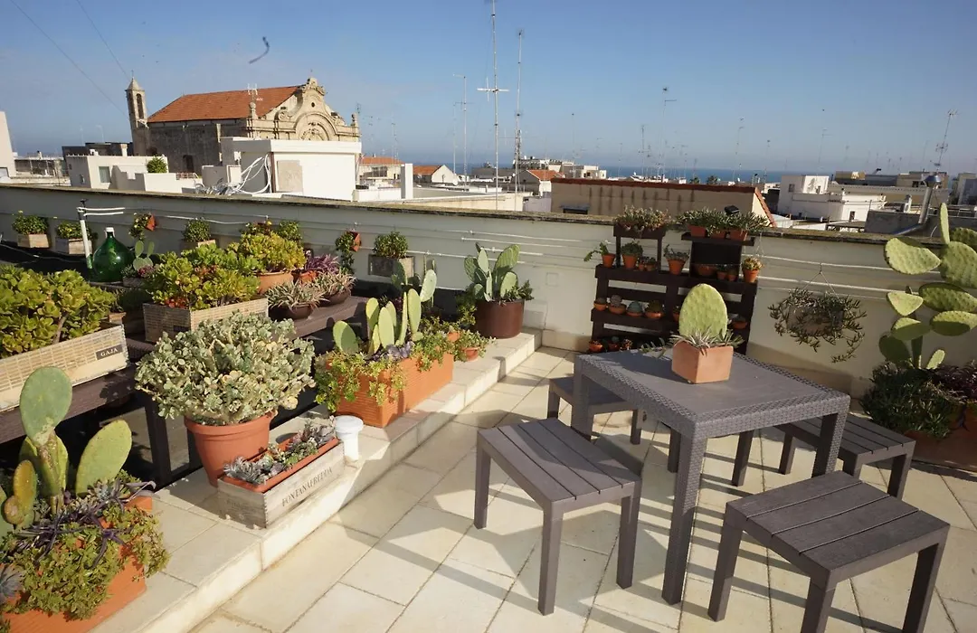 Palazzo Verrone-1